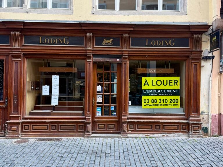Appartement Rue des Juifs à Strasbourg