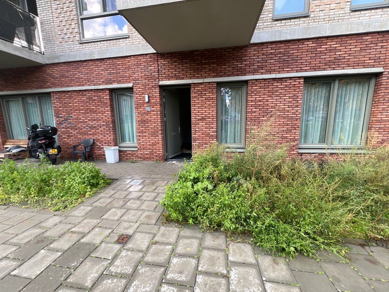 Appartement Het Zicht in Den Haag