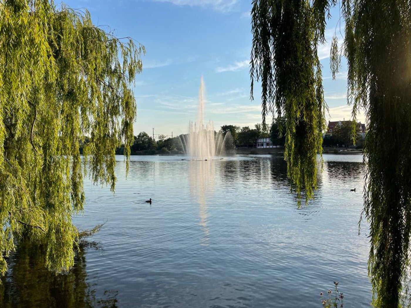 Wohnung Wagnerstraße in Merseburg