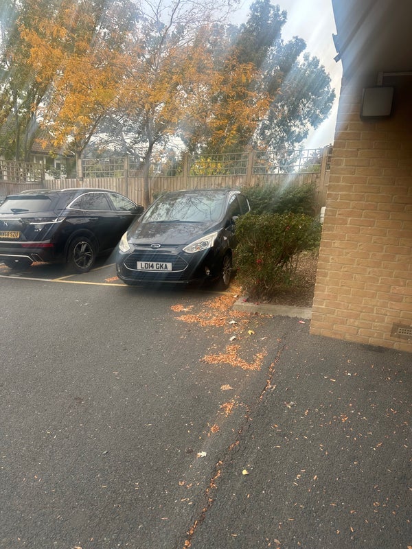 Room Bowen Drive in Greater London