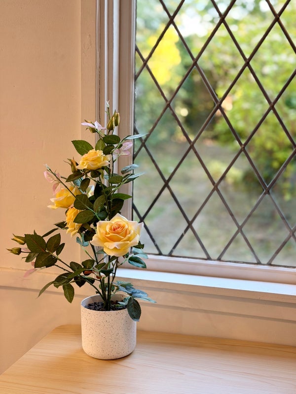 Room Devonia Gardens in Greater London