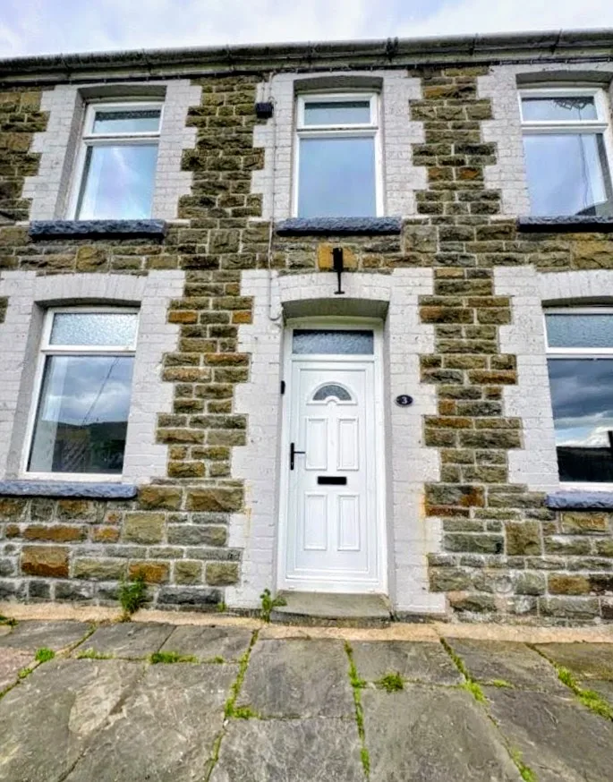House Mountain Row in Ferndale