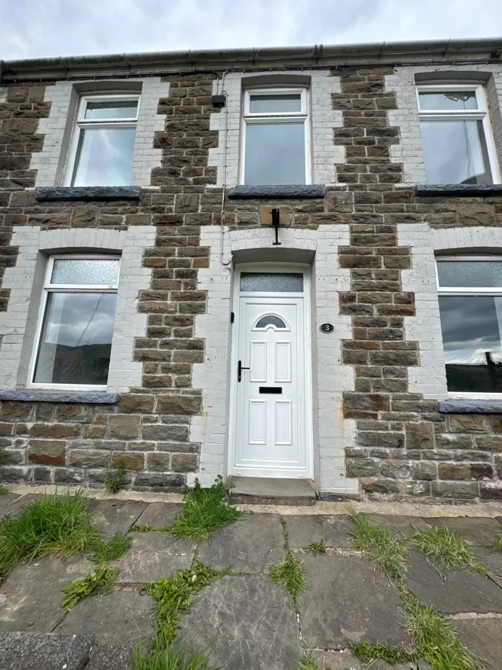 House Mountain Row in Ferndale