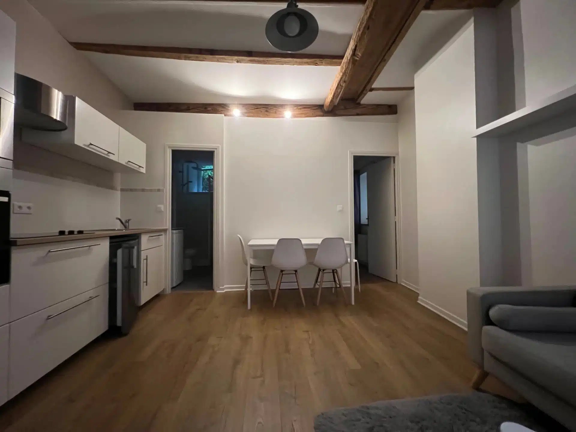 Flat Quai Pierre Scize in Lyon