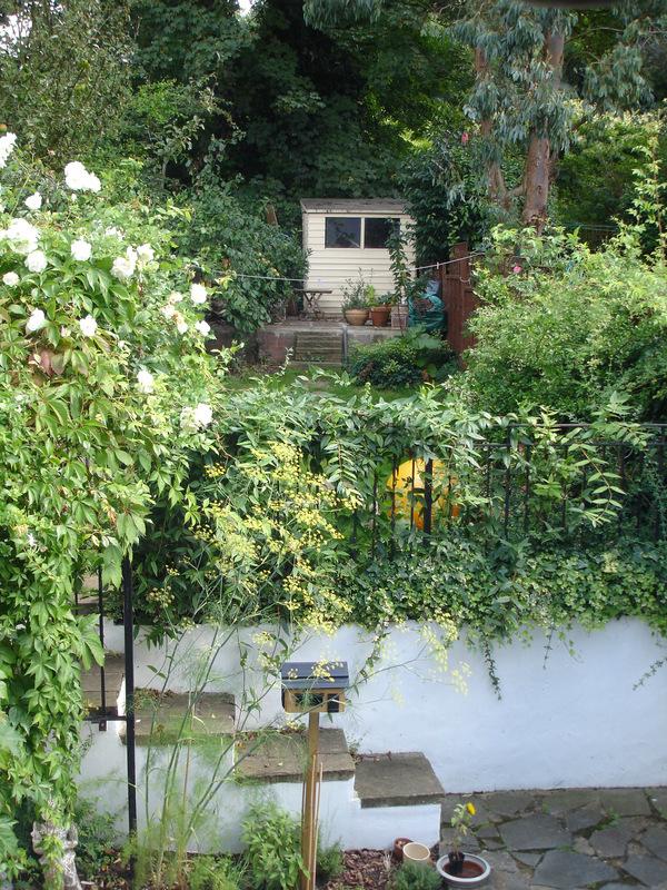 Room Norwood Road in Greater London