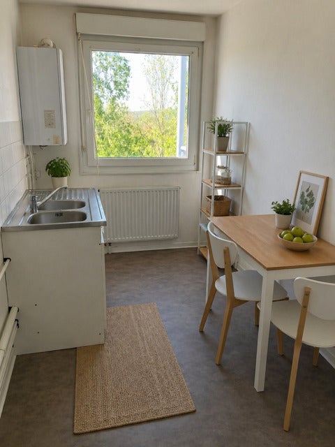 Appartement Rue des Bouleaux à Vieux-Thann