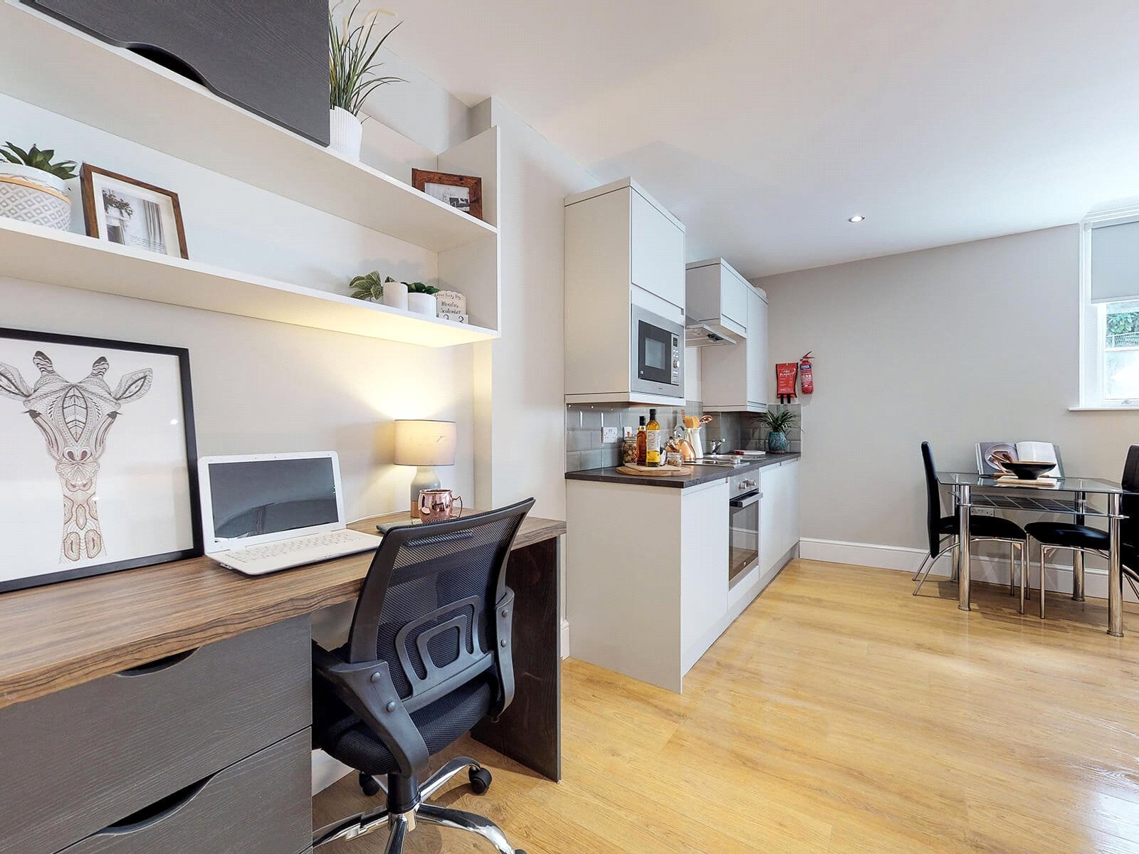 Flat Springfield Mount in Leeds