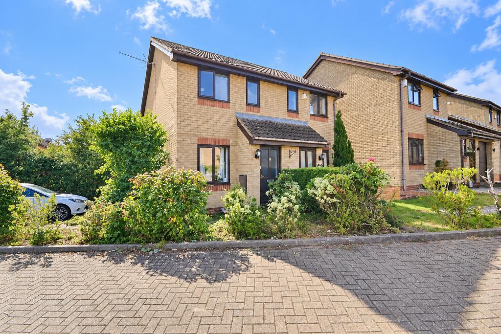 House Twinflower in Milton Keynes