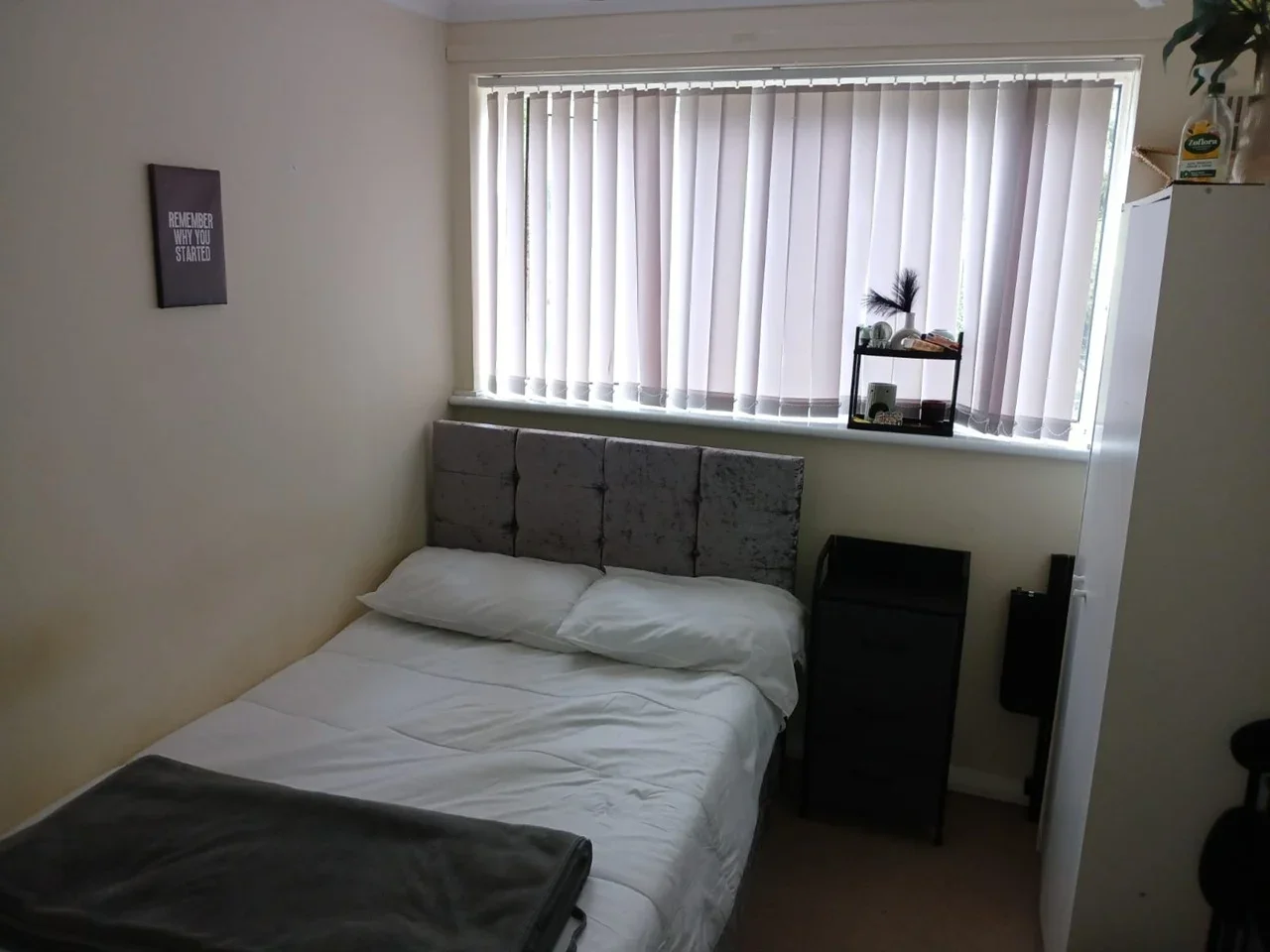Room Stortford Hall Park in East Hertfordshire