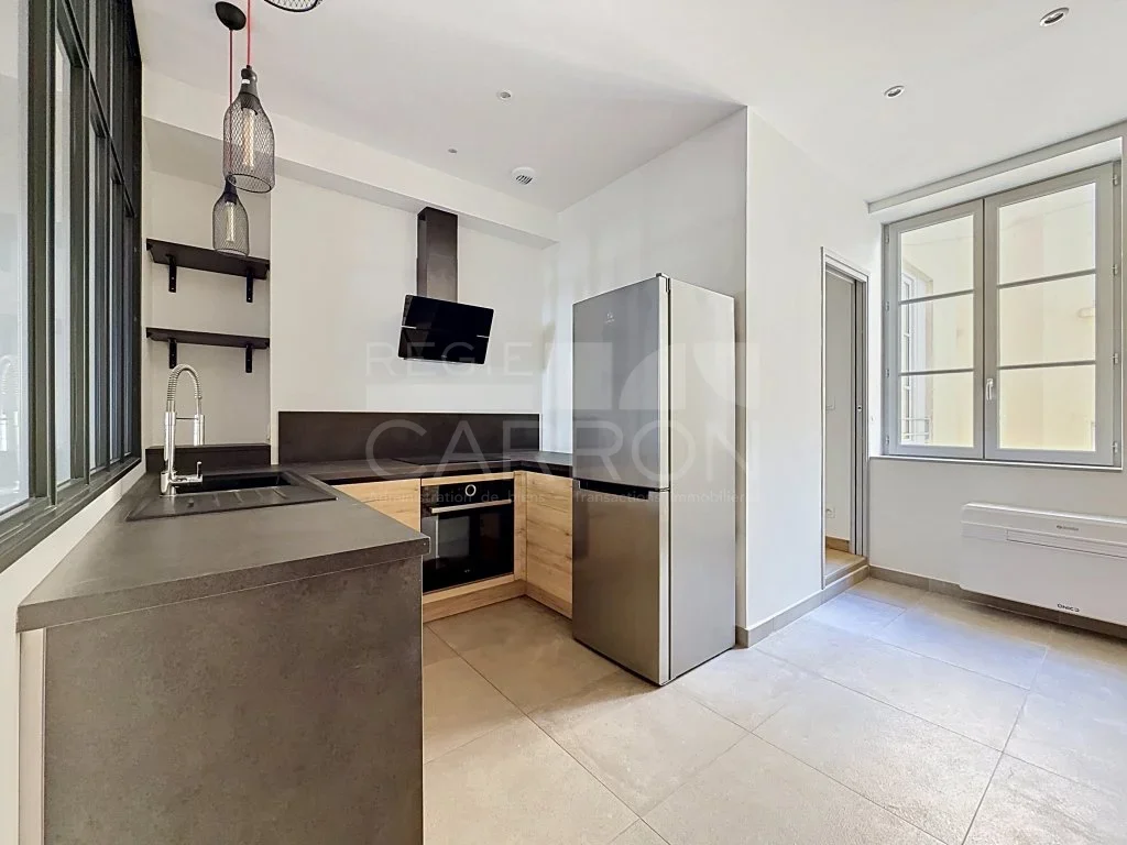 Flat Rue Henri Germain in Lyon