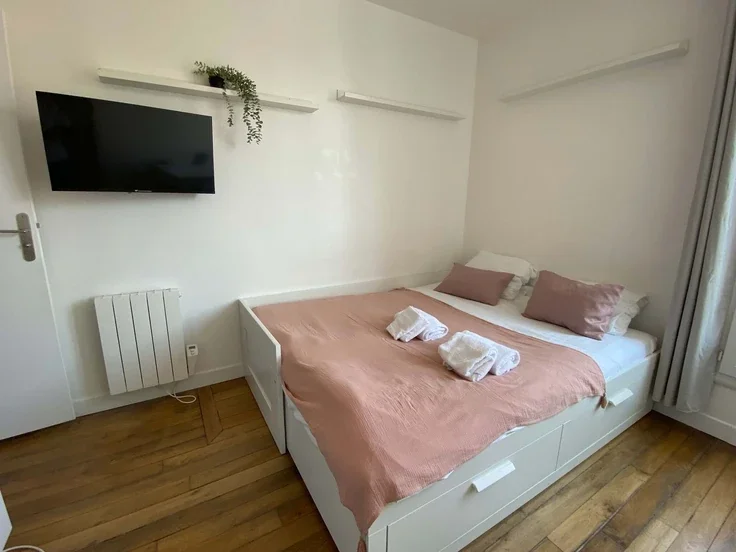 Flat Rue Olivier de Serres in Paris