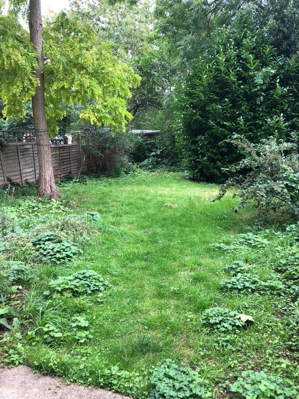 Room Stapleton Hall Road in Greater London