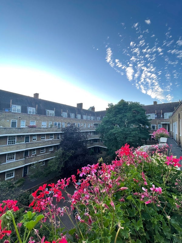 Room Vicarage Crescent in Greater London