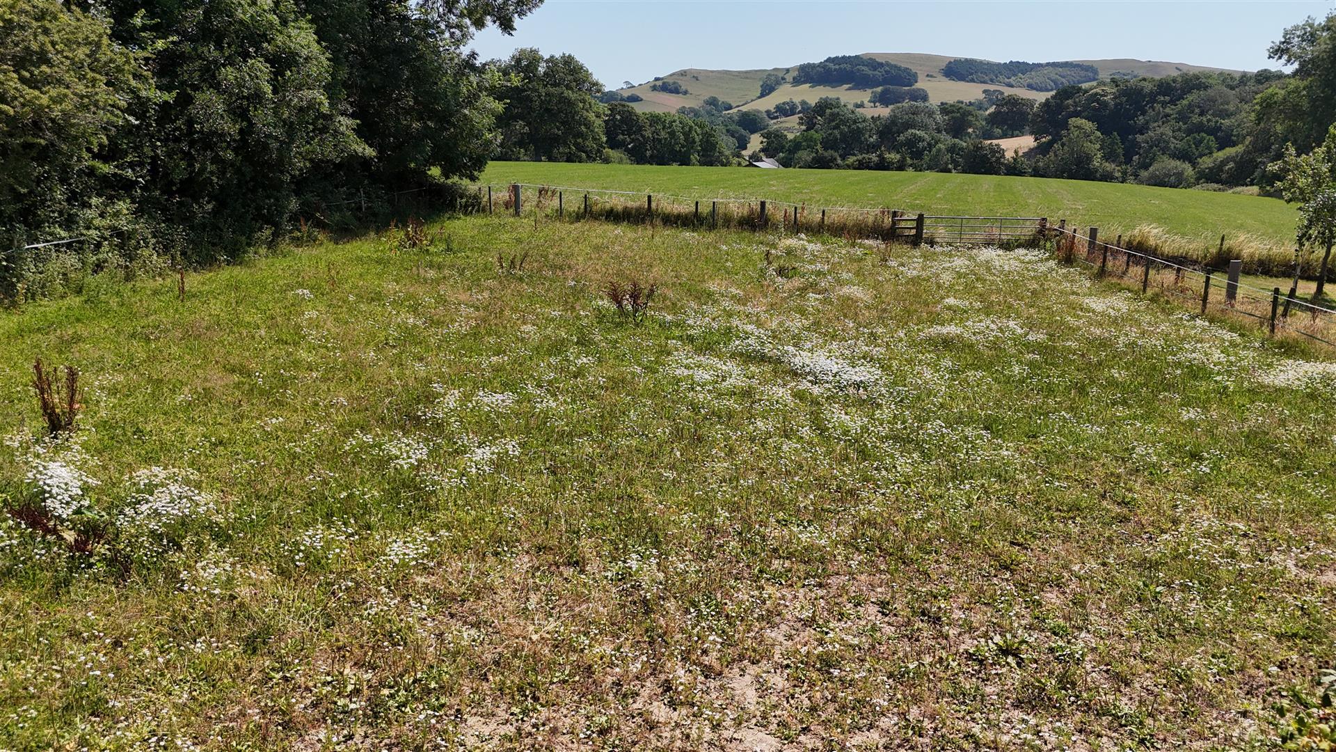 Flat North Road in North Chideock