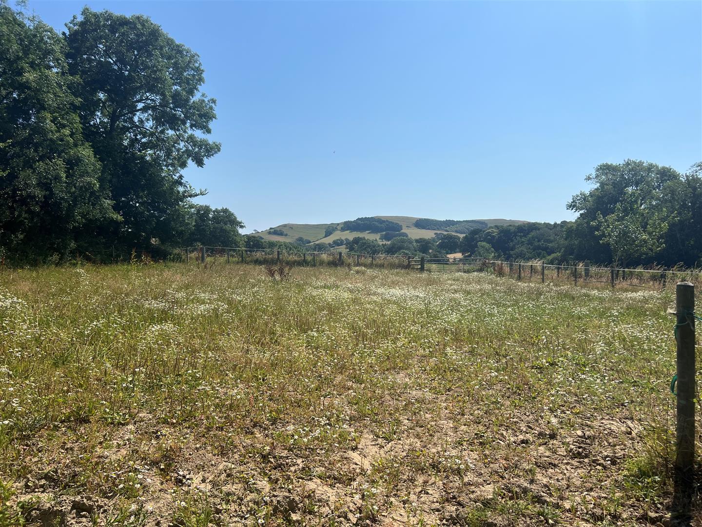 Flat North Road in North Chideock