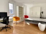 Flat Rue Joseph Guerber in Strasbourg