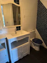 Appartement Rue Dombasle à Paris