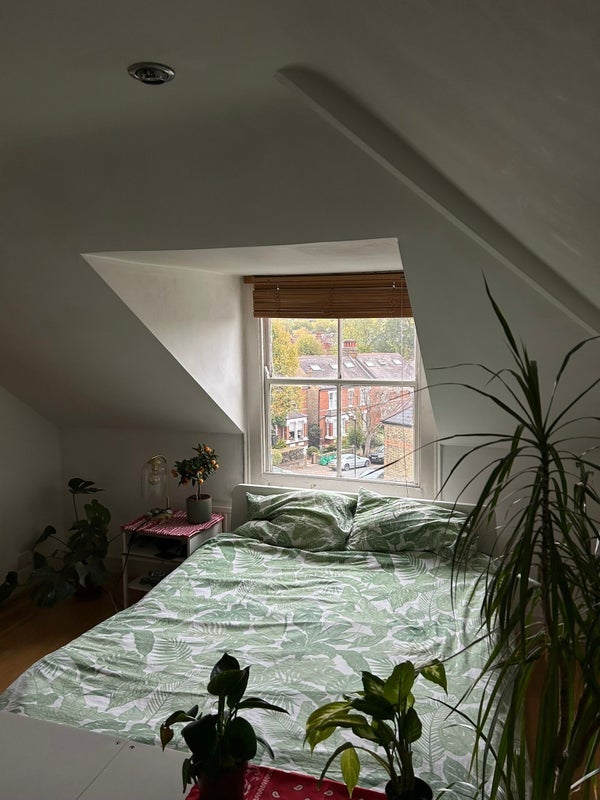 Room Lancaster Avenue in Greater London