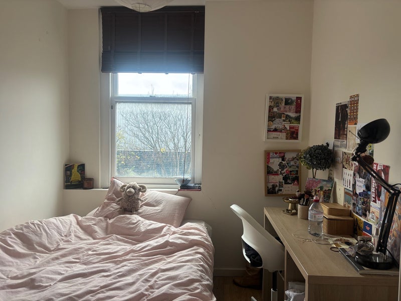 Room Paulet Road in Greater London