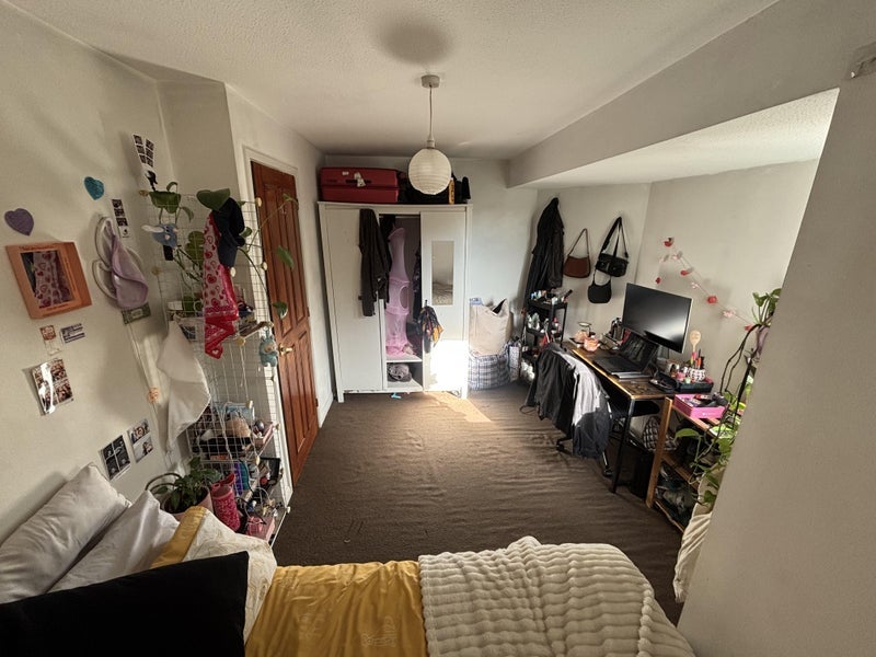 Room Hampstead Walk in Greater London
