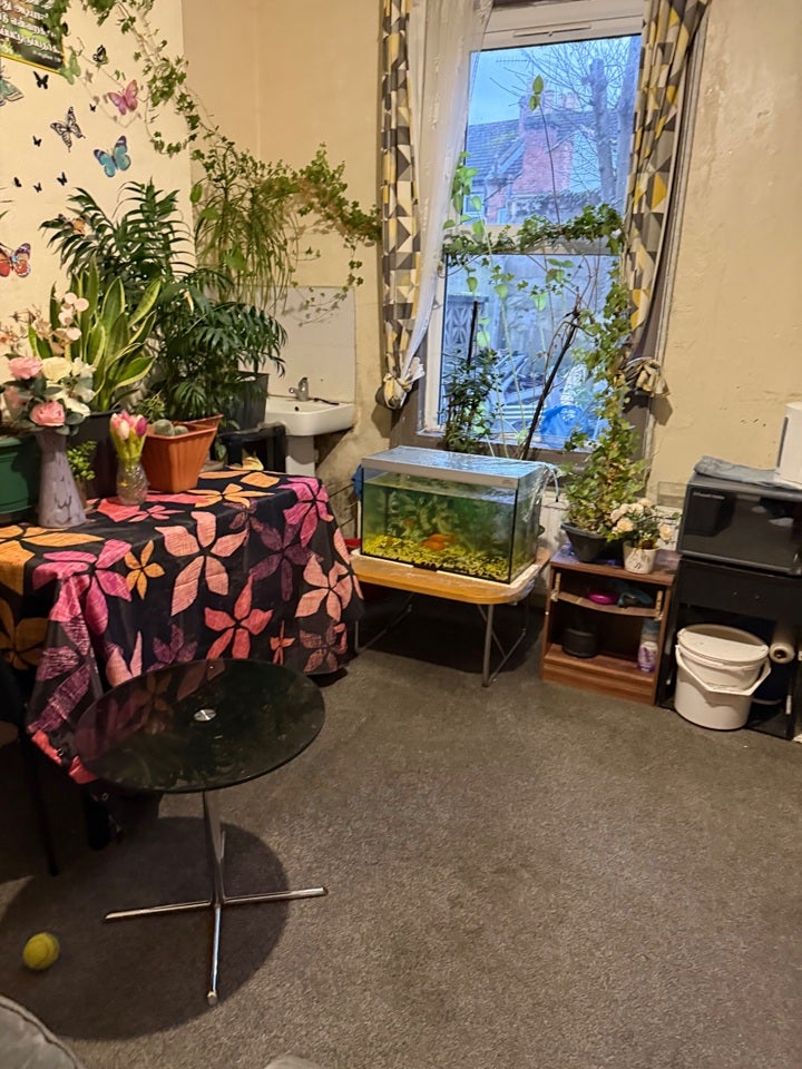 Room Pemdevon Road in Greater London