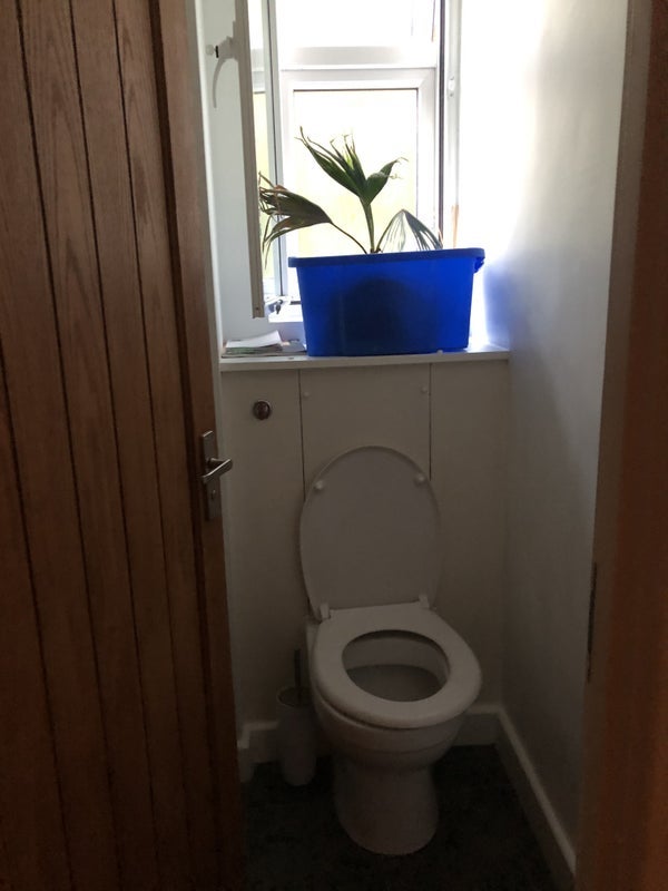 Room Wyvil Road in Greater London