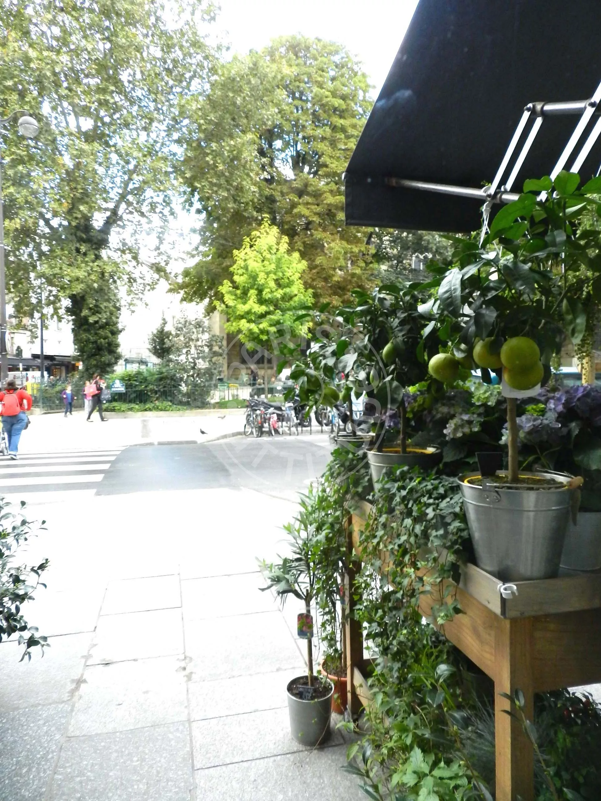 Flat Rue Censier in Paris