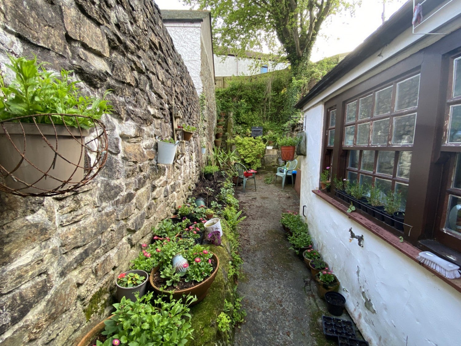 House Saracen Way in Penryn