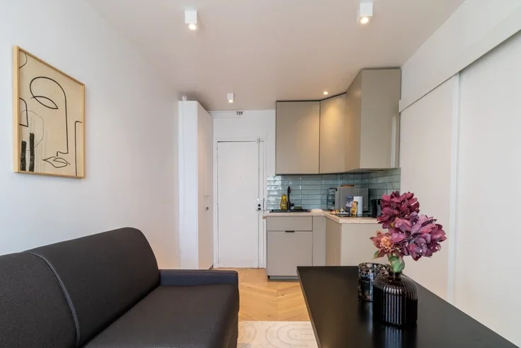 Flat Rue de Grenelle in Paris