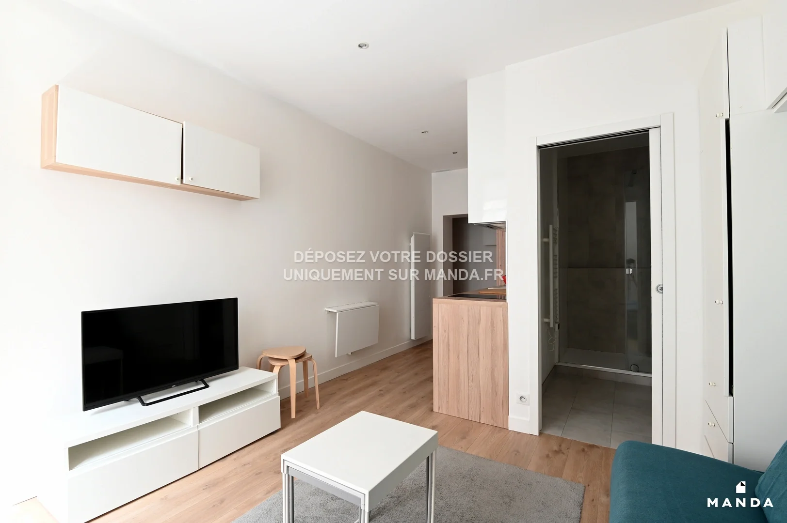 Flat Rue Saint-Victor in Paris