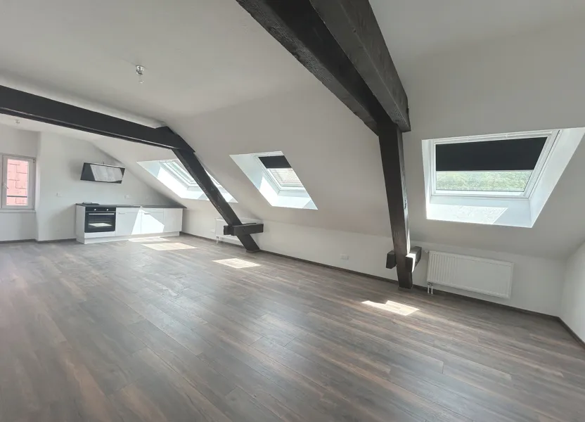 Flat Grand'Rue in Schirmeck