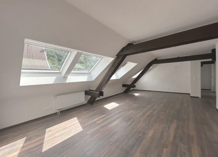 Flat Grand'Rue in Schirmeck