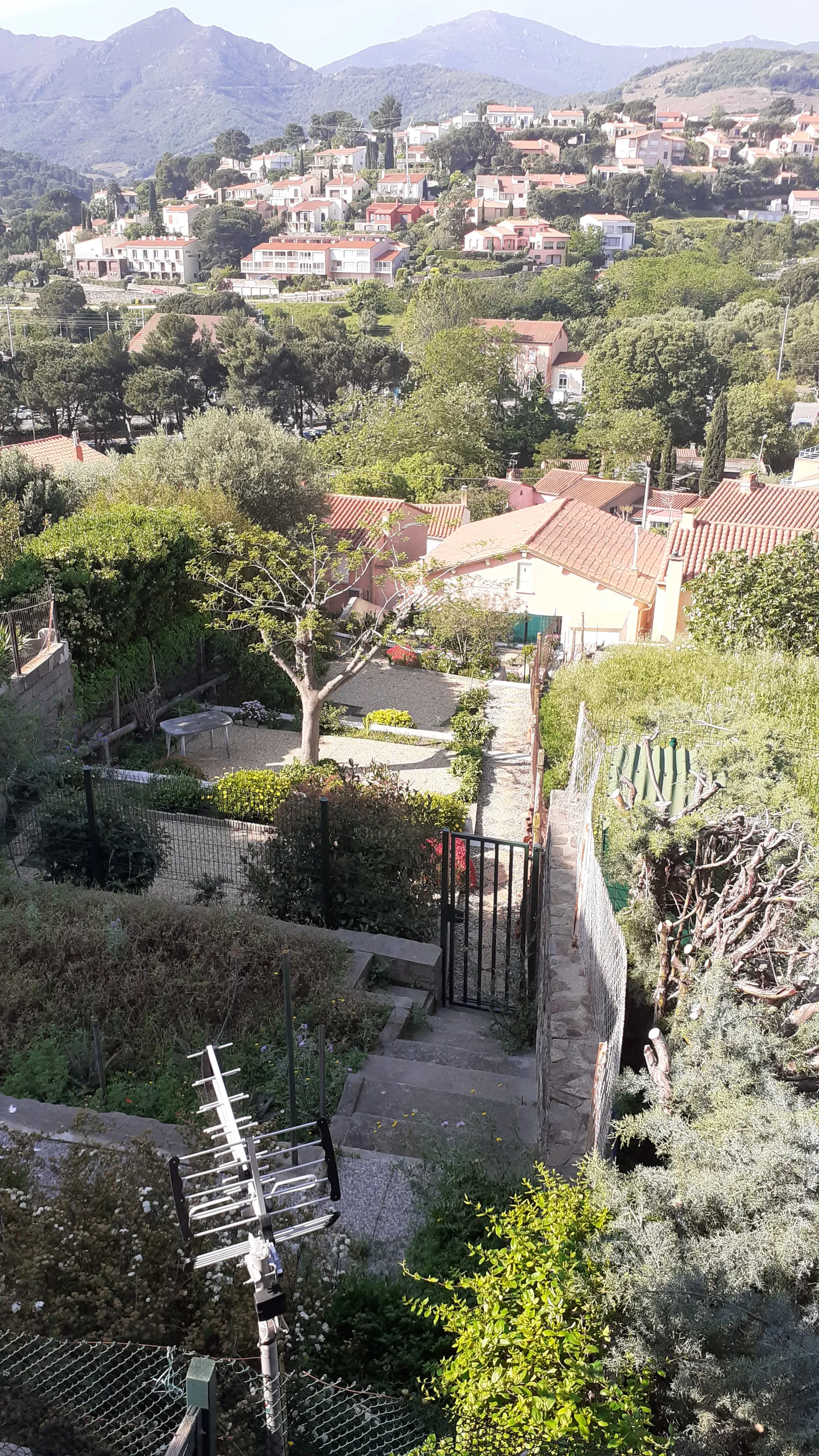 Room Rue du Pla de las Fourques in Collioure