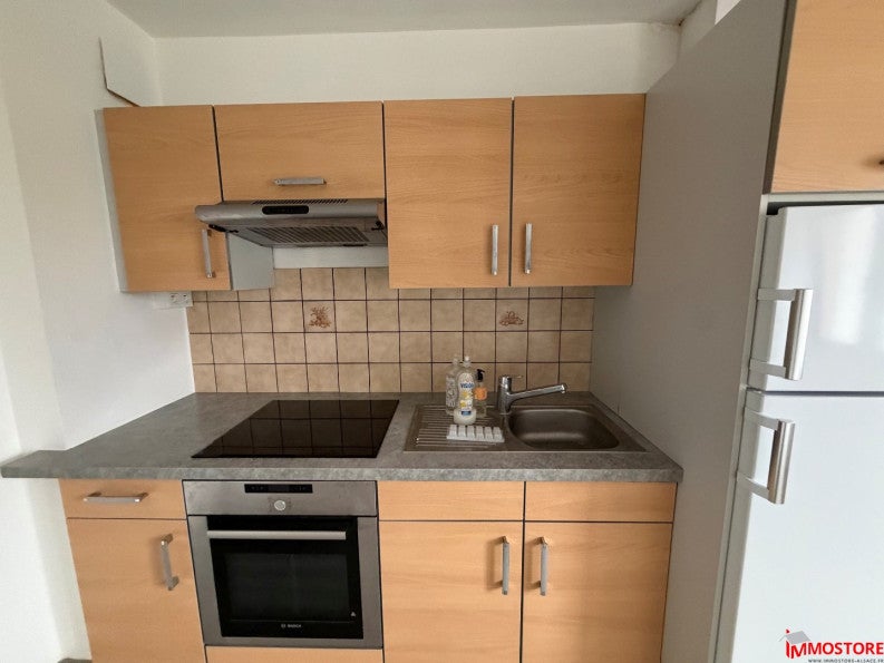 Appartement Rue du Général de Gaulle à Blotzheim