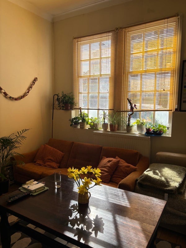Room Adelaide Grove in Greater London