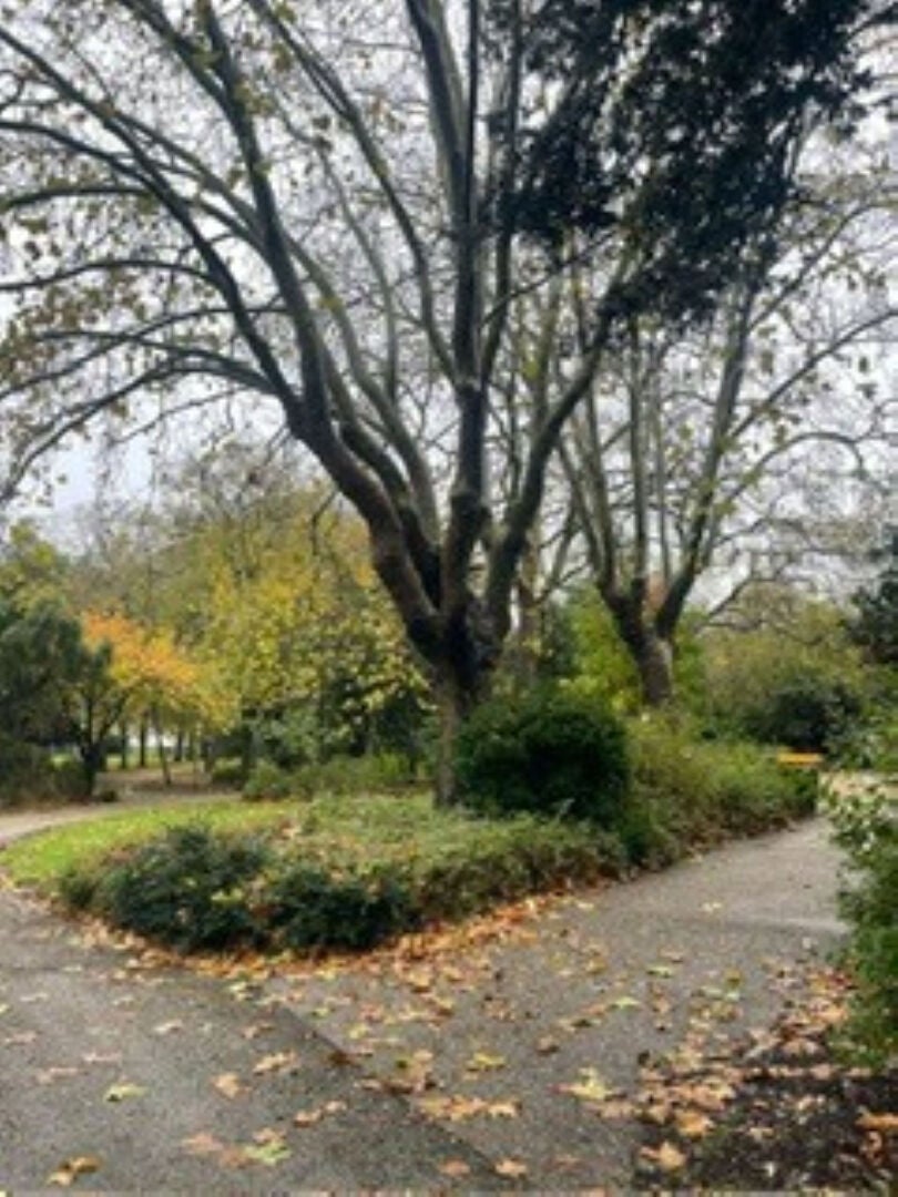 Appartement Avenue du Général de Gaulle à La Rochelle