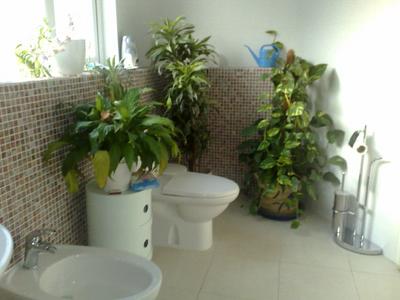 Room Deanery Road in Greater London