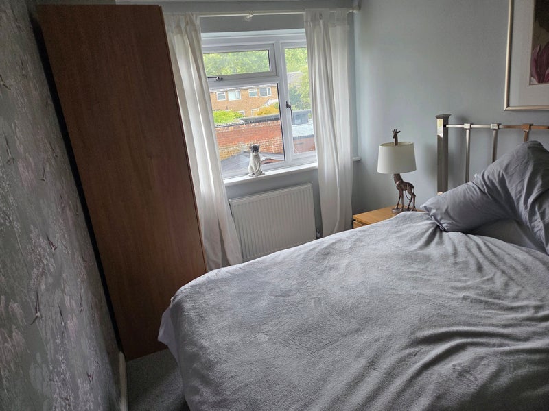 Room Halstead Walk in Maidstone