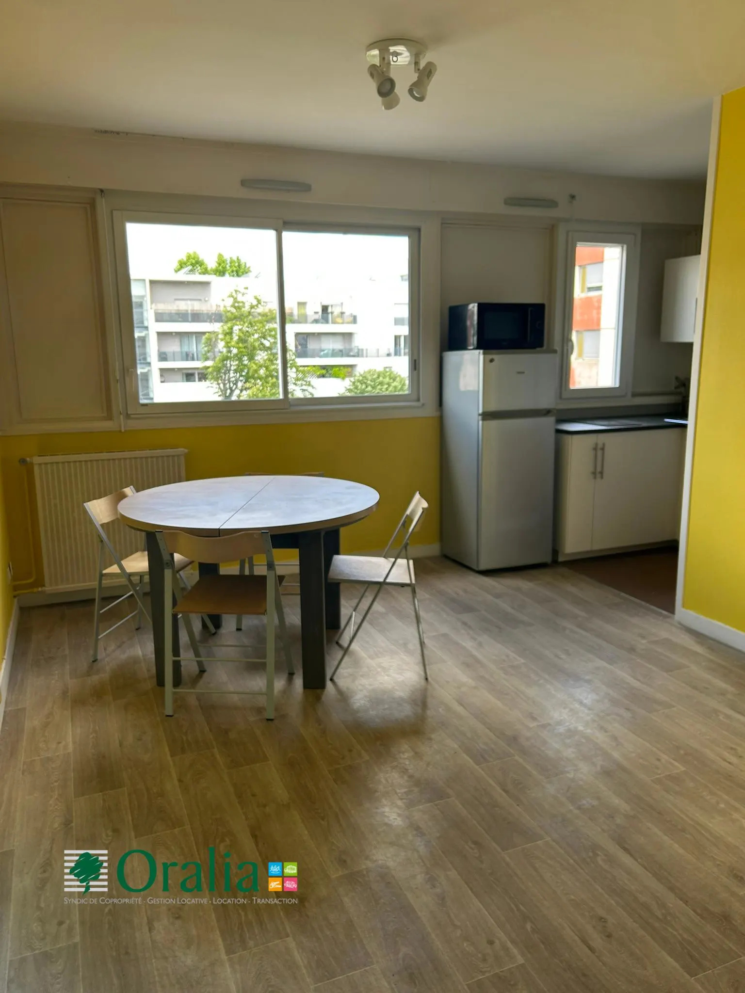Flat Rue Richelieu in Villeurbanne