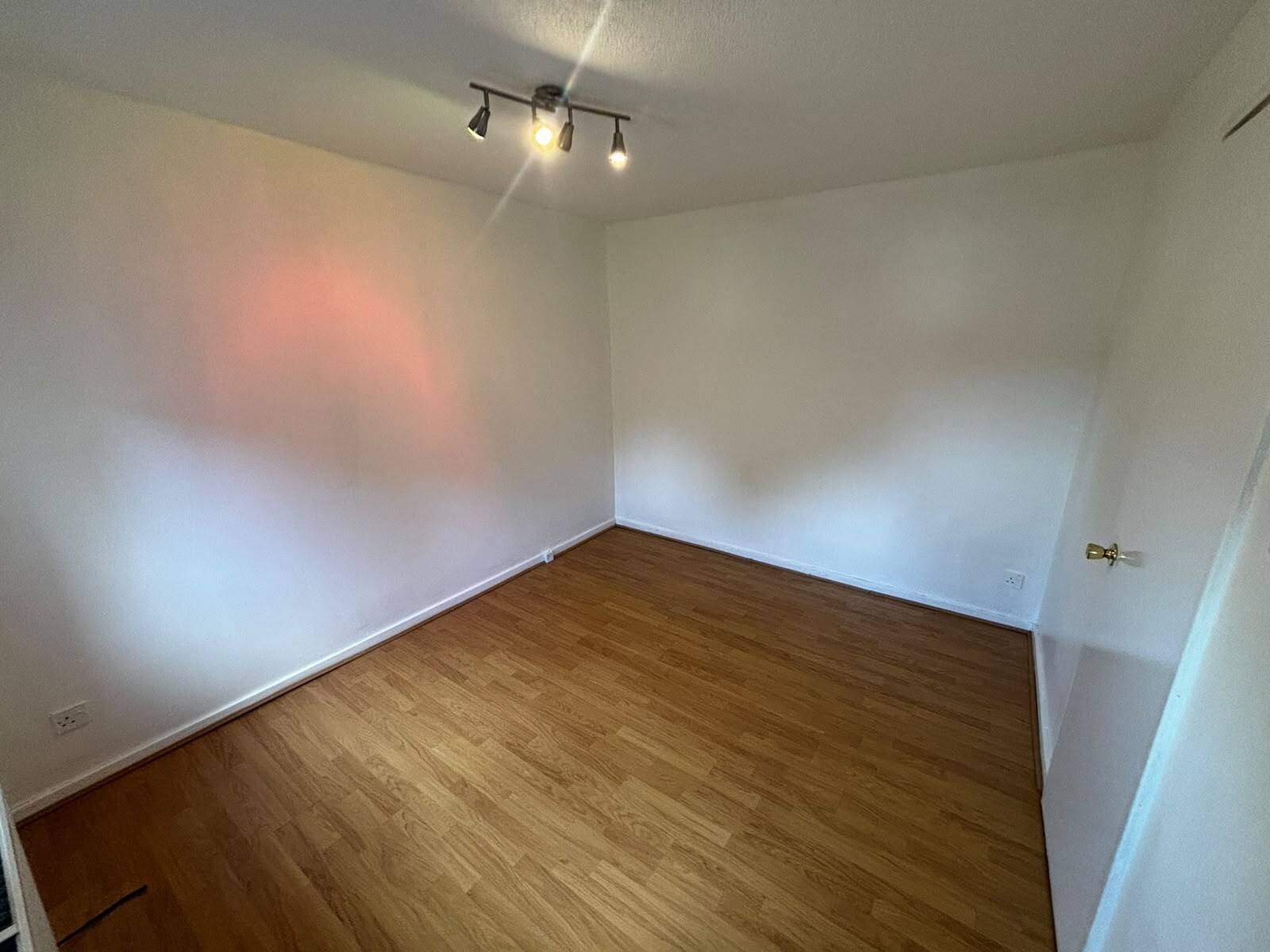 Flat Alderstocks in East Kilbride