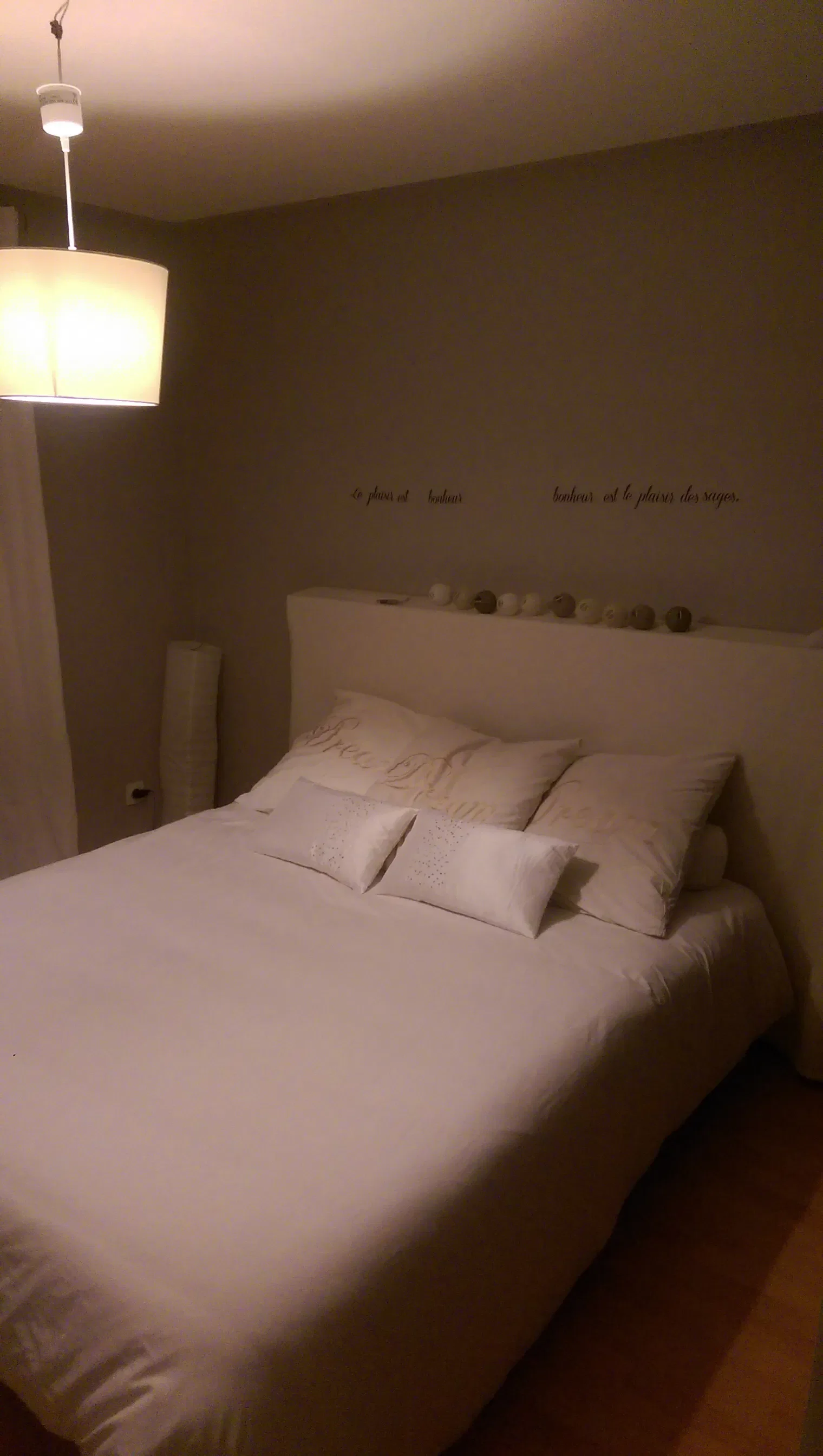 Chambre Rue Henri Lebrun à Meyzieu