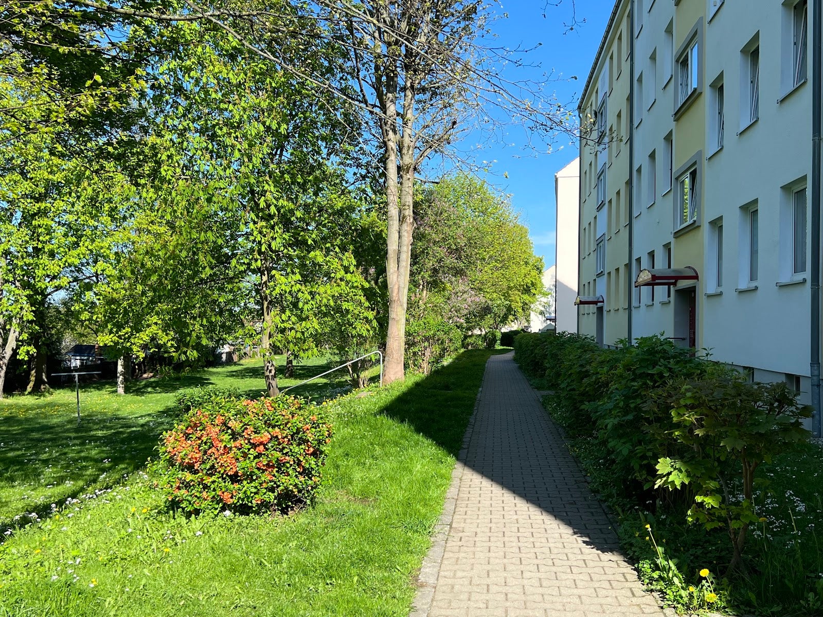 Wohnung Carl-von-Ossietzky-Straße in Chemnitz