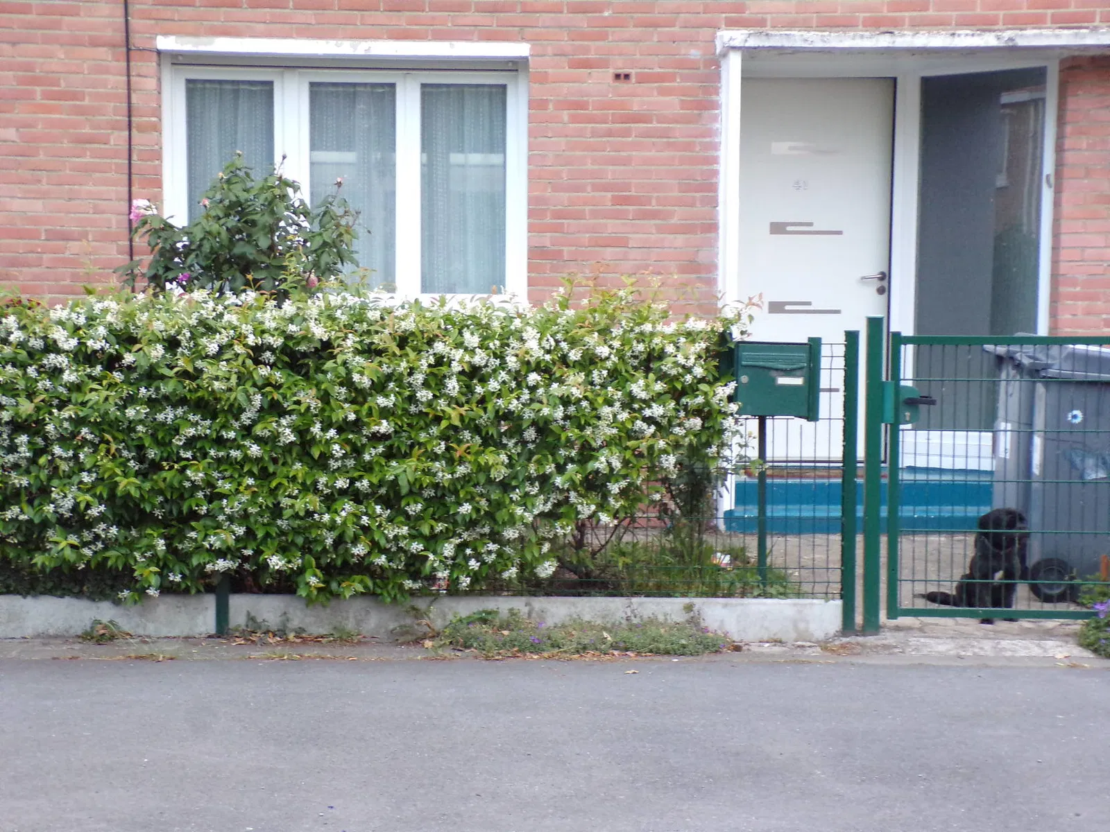 Chambre Rue du Maréchal Joffre à Faches-Thumesnil