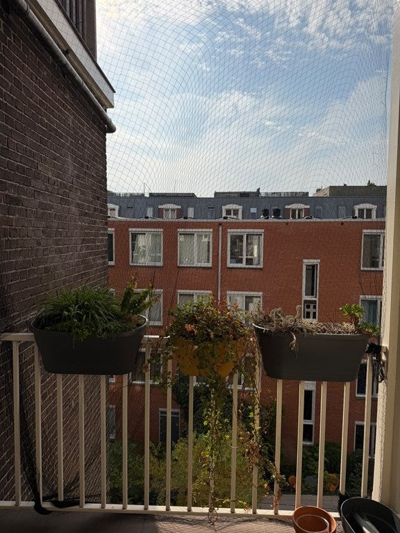 Woning te huur: Van Ostadestraat, Amsterdam