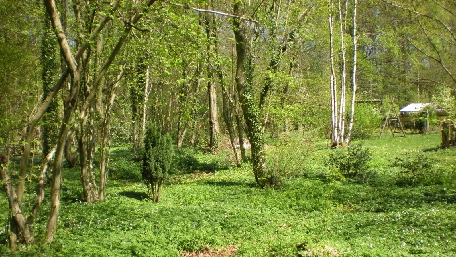 Chambre Route de Buchy à Buchy