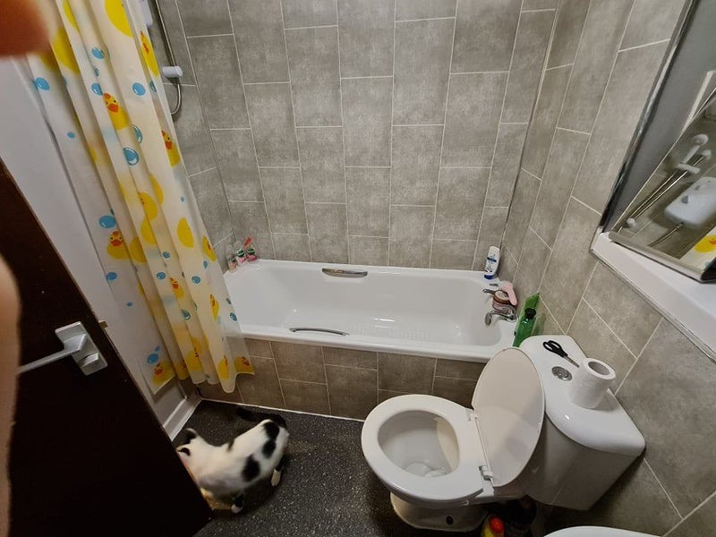 Room Cathcart Road in Rutherglen