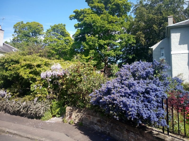Room Grange Loan Gardens in City of Edinburgh