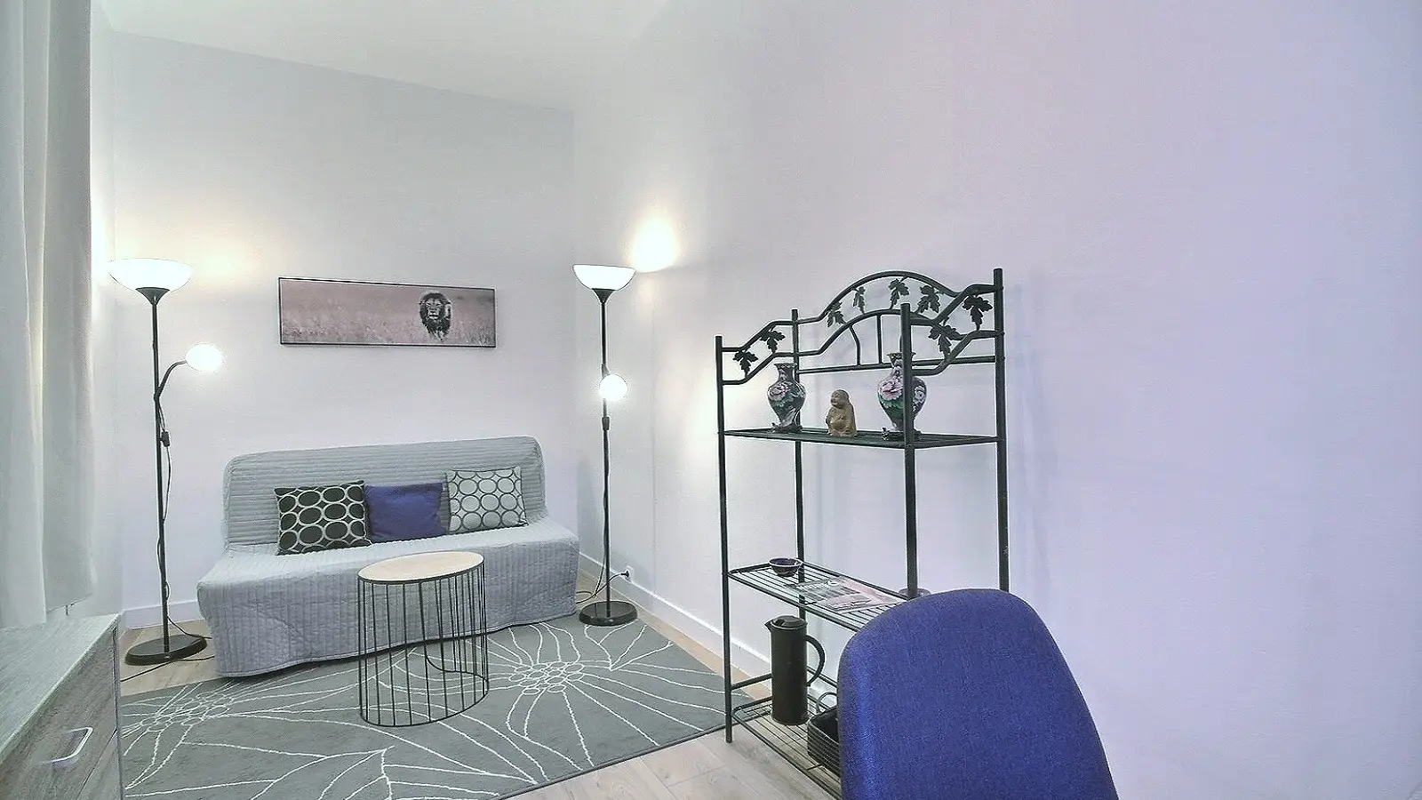Flat Rue de Seine in Paris