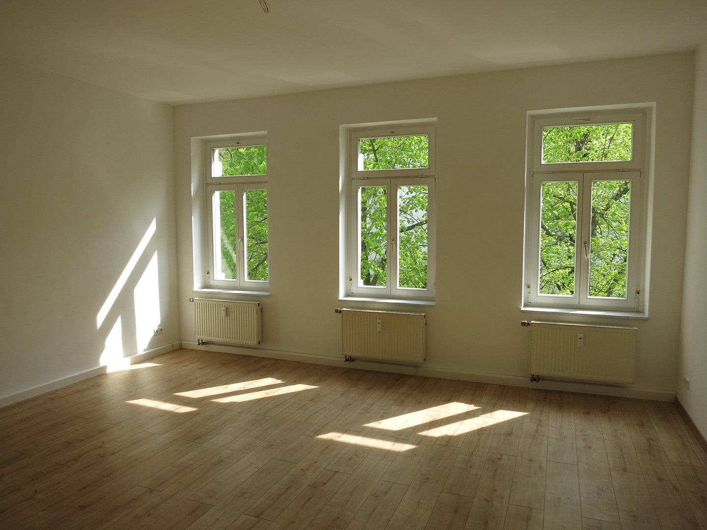 Wohnung Oeserstraße in Leipzig