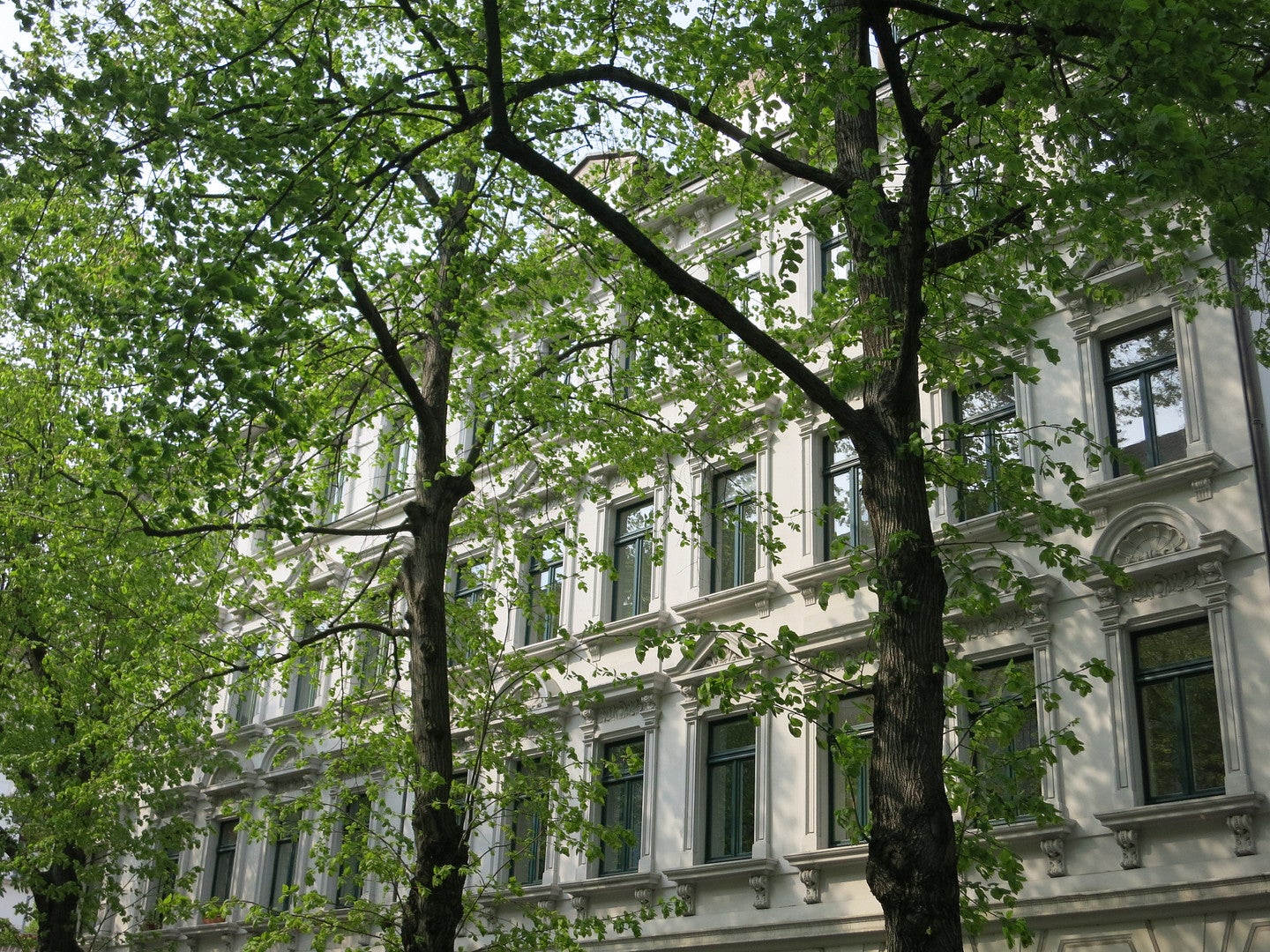 Wohnung Oeserstraße in Leipzig